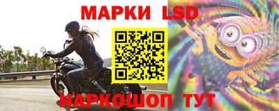 Альфа ПВП Новозыбков